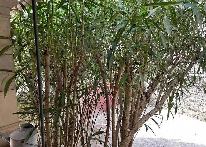Σπίτι διακοπών Maison De Village Atypique Issirac